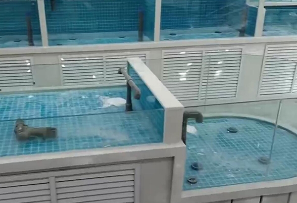 黑龙江专业制作海鲜鱼缸