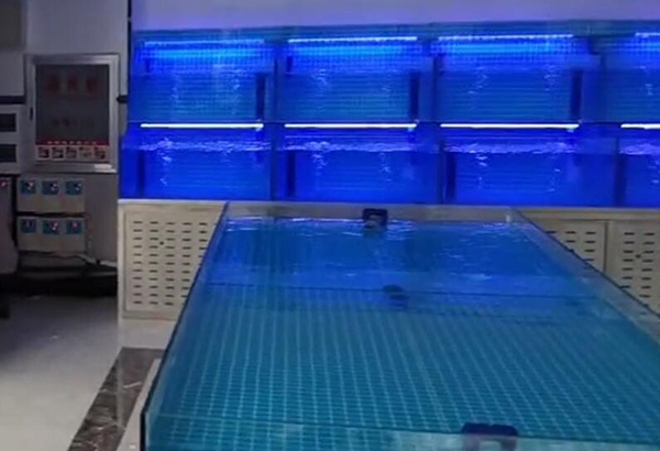 辽宁专业制作海鲜鱼缸