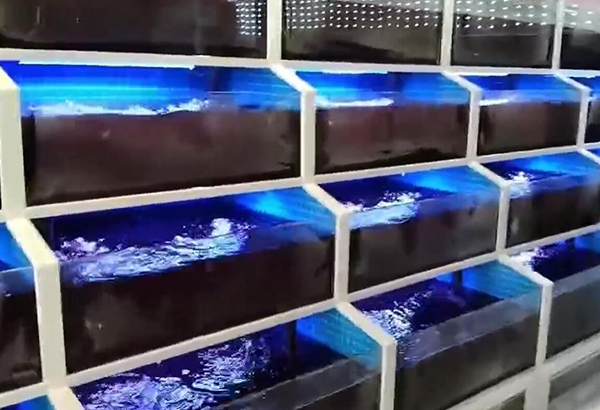 吉林专业制作海鲜鱼缸